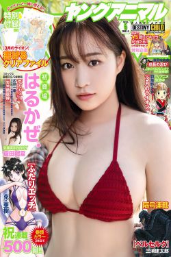 梅花儿香1至49集播放